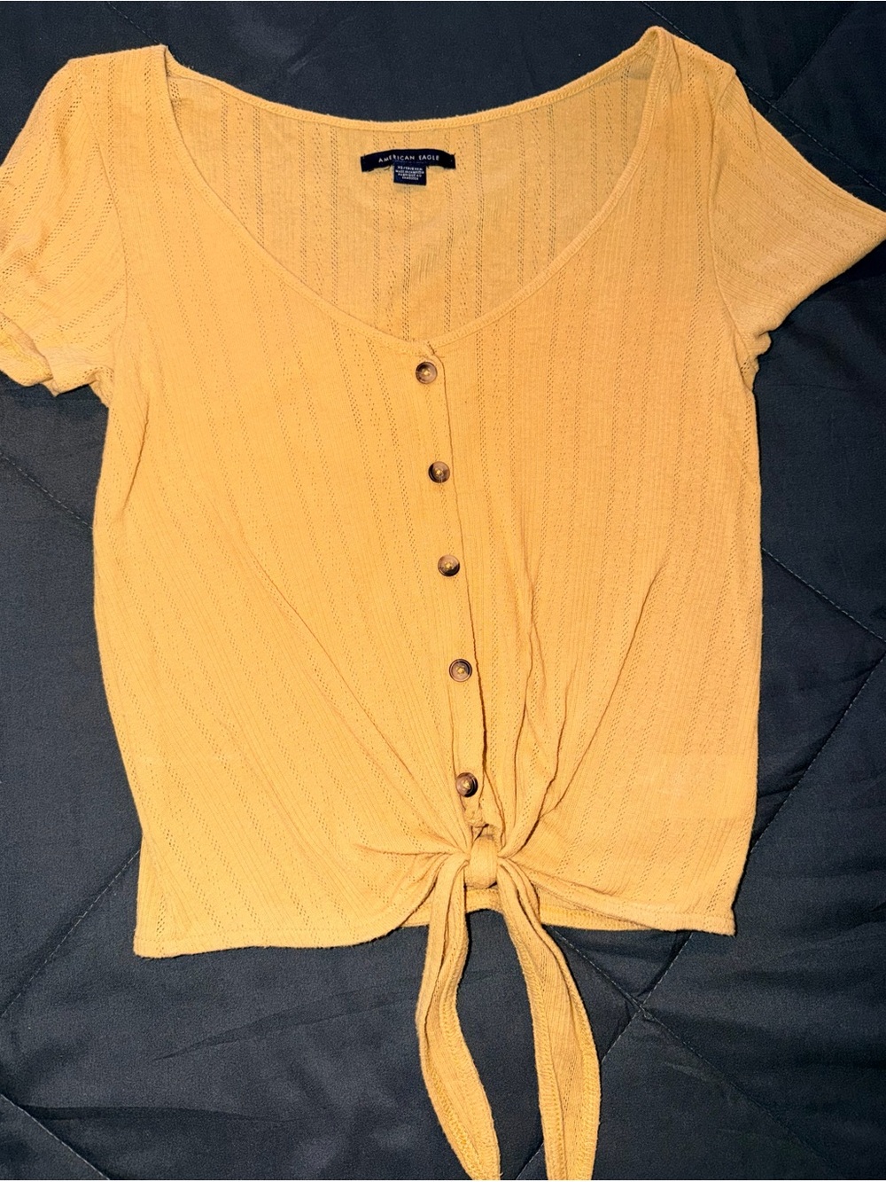 American Eagle Outfitters Yellow Tie-Front Knit Crop Top